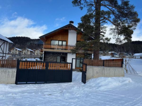 Villa in Bakuriani